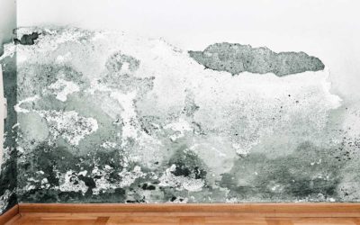 How Can a Private Claims Adjuster in West Palm Beach Help My Business with a Water Damage Claim?